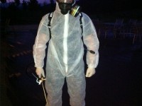 Takto mě můžete často potkat | Galerie škůdců a škod